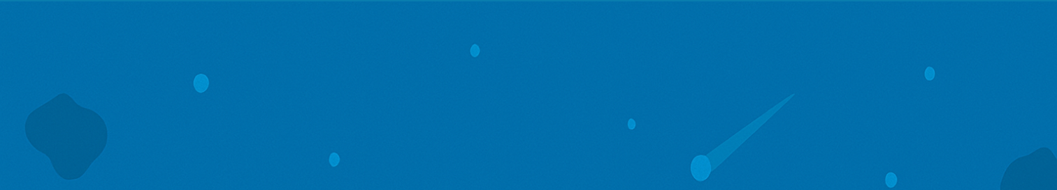 Website Footer