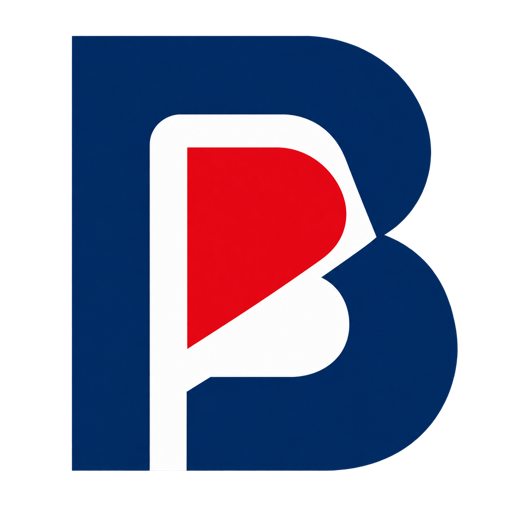 BitBorders Logo