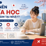 vua_hoc_vua_lam