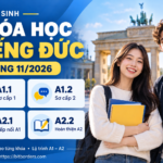Tuyển sinh khóa học tiếng Đức sơ cấp
